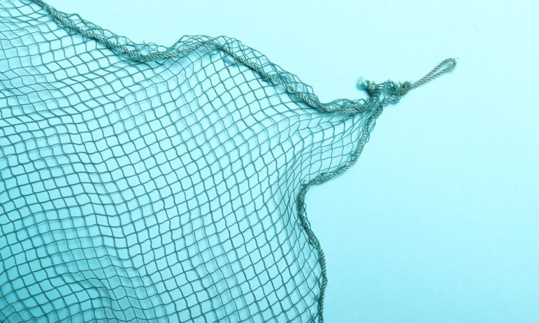 Fishing net