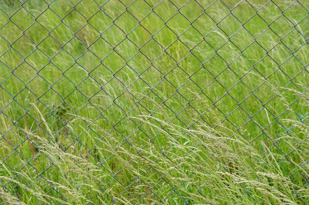 Choosing the Right Netting for Agricultural and Garden Protection