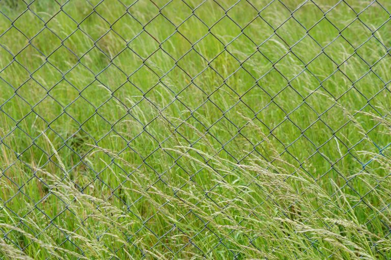 Choosing the Right Netting for Agricultural and Garden Protection