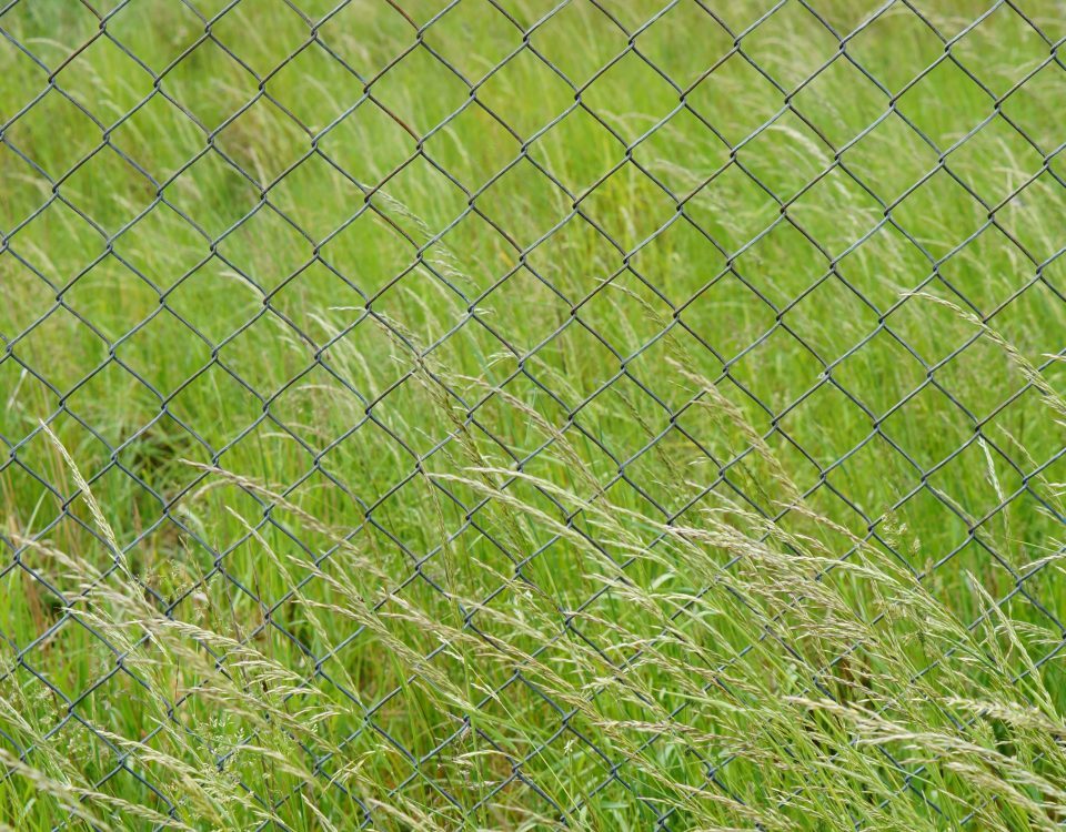 Choosing the Right Netting for Agricultural and Garden Protection